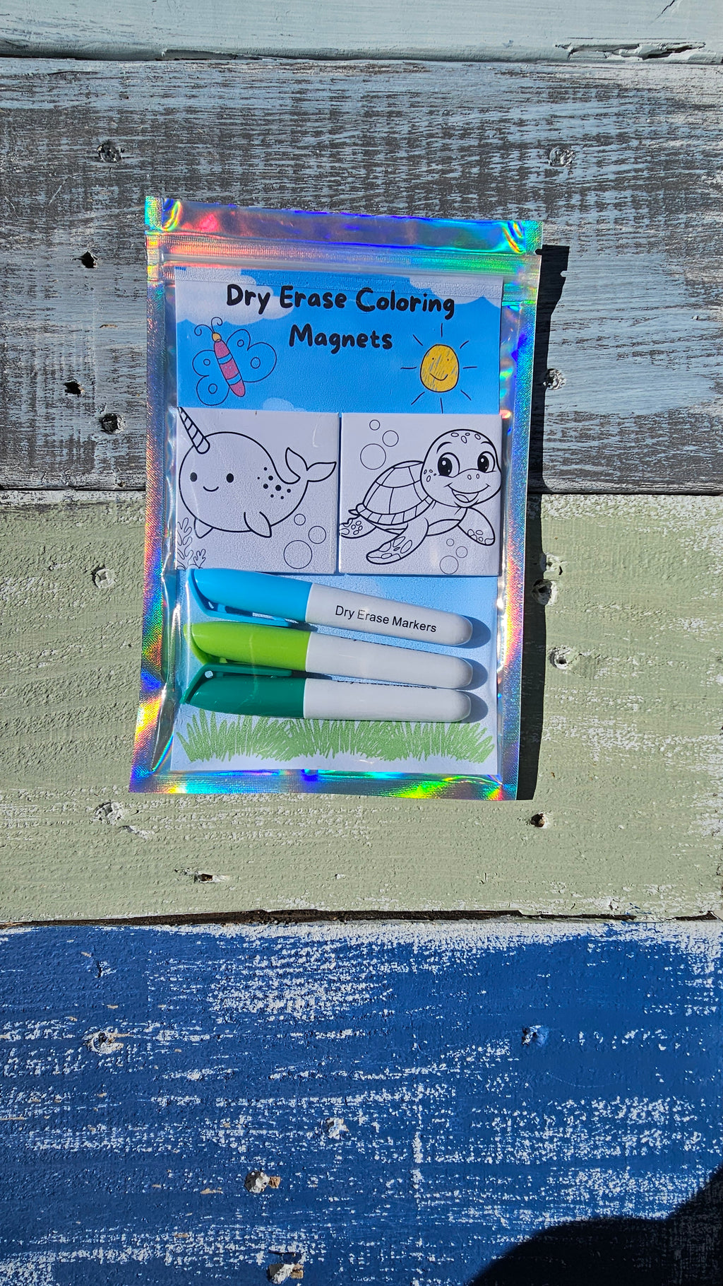 Dry Erase Kids Coloring Magnets