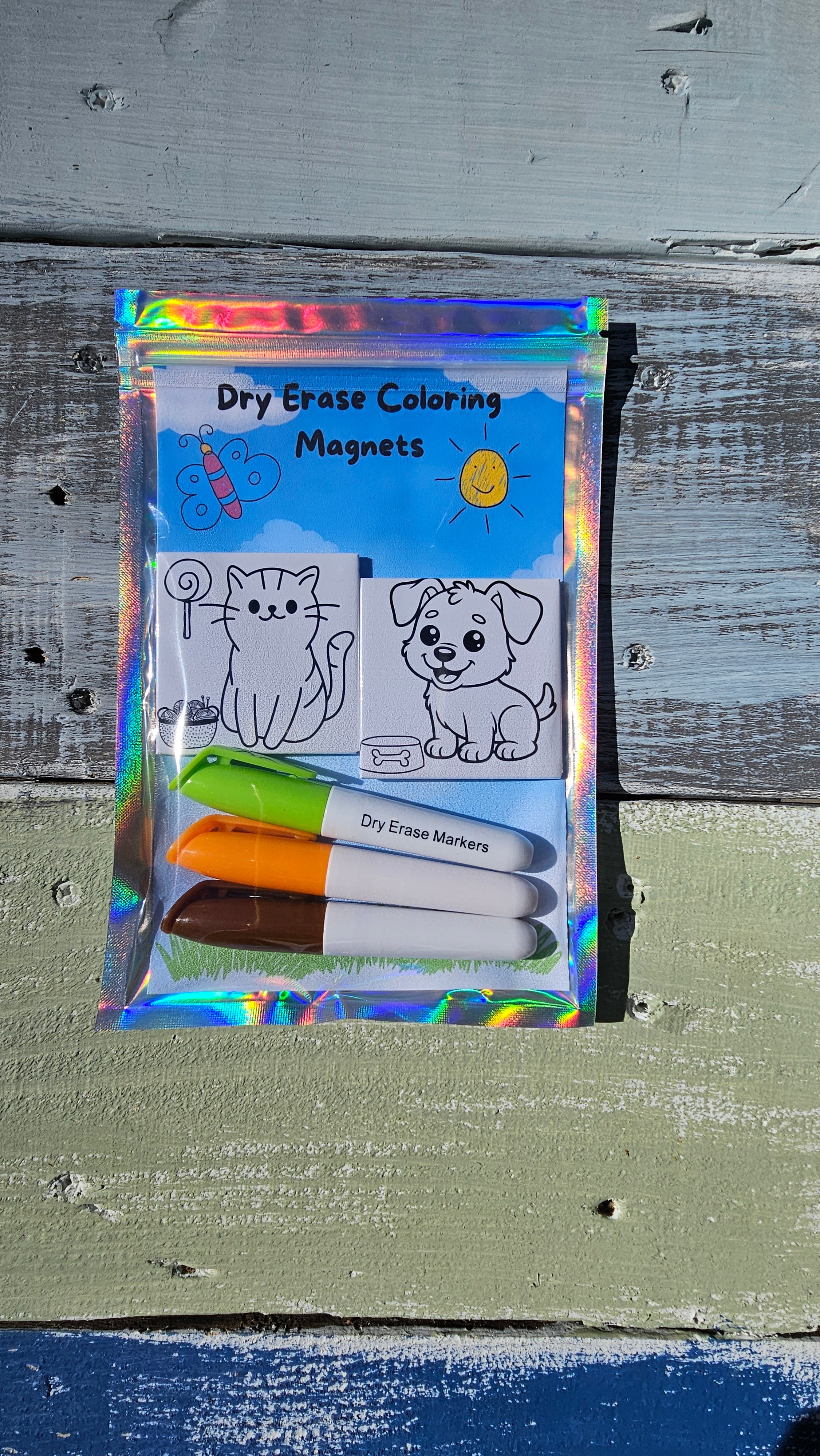 Dry Erase Kids Coloring Magnets