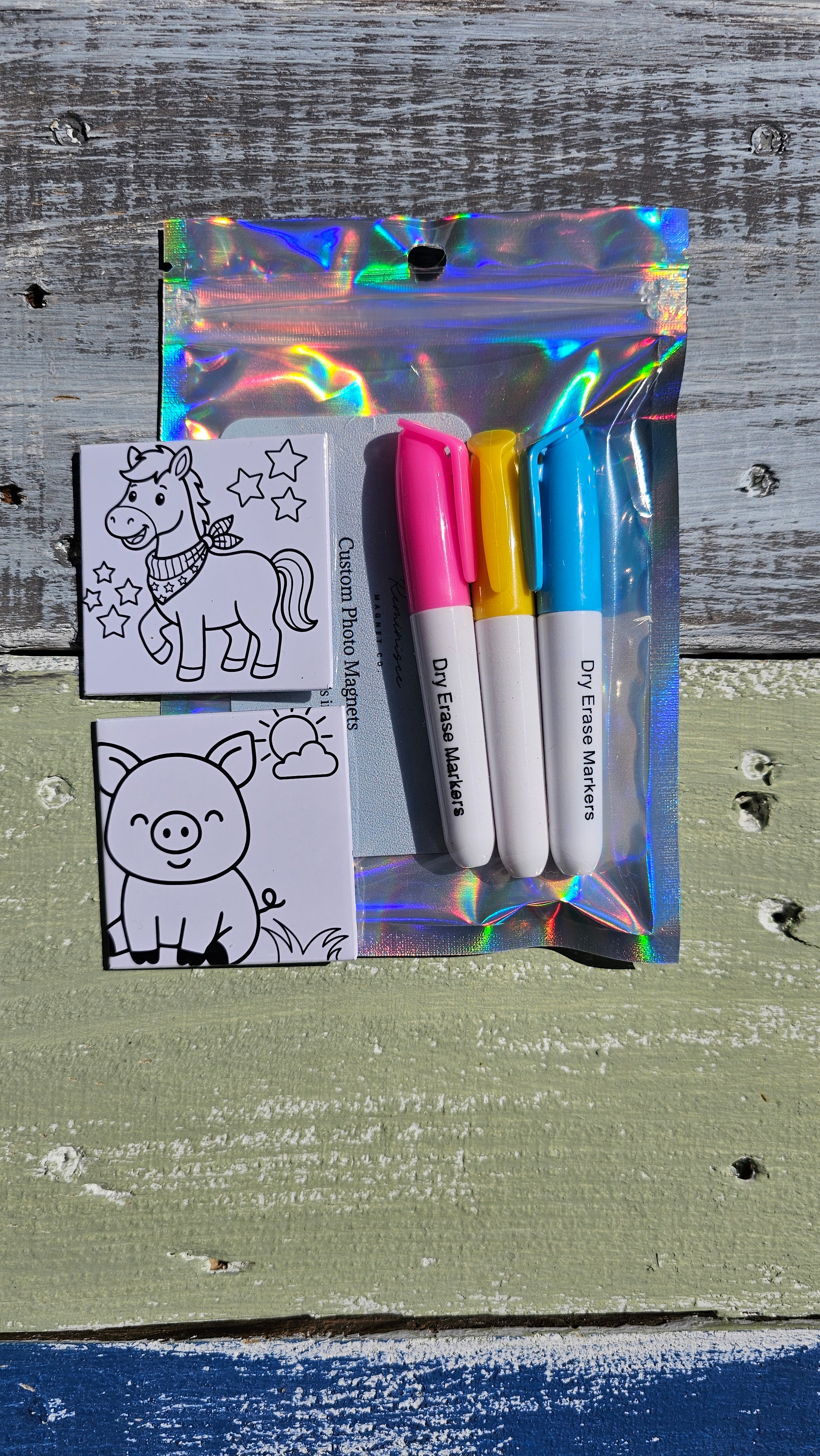 Dry Erase Kids Coloring Magnets