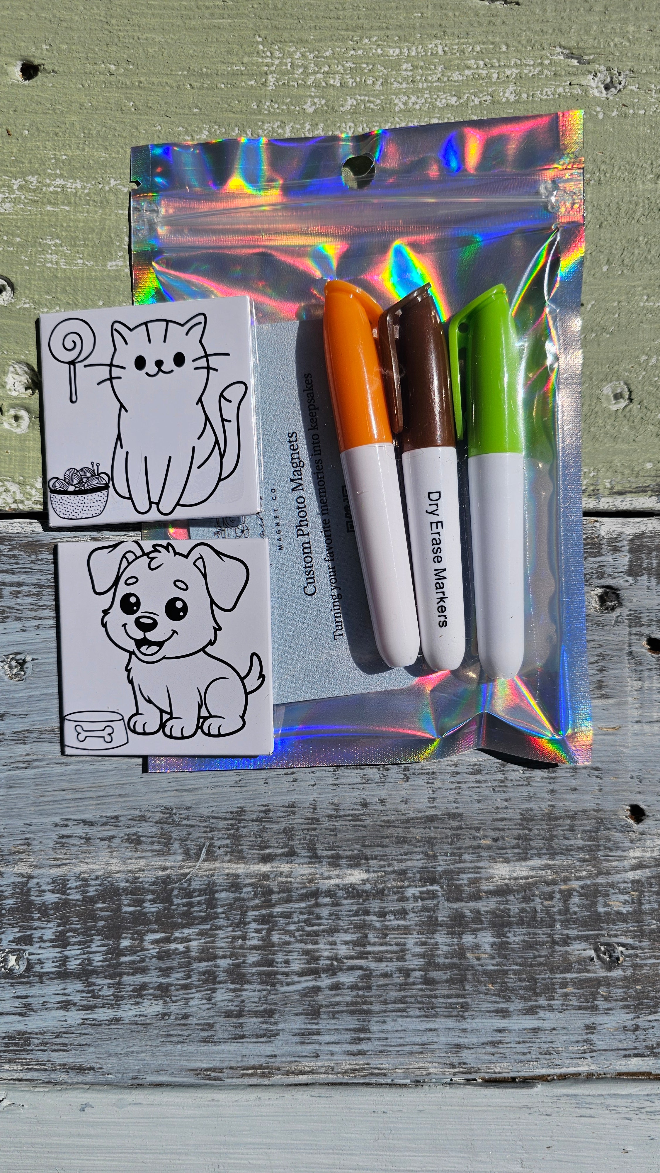 Dry Erase Kids Coloring Magnets