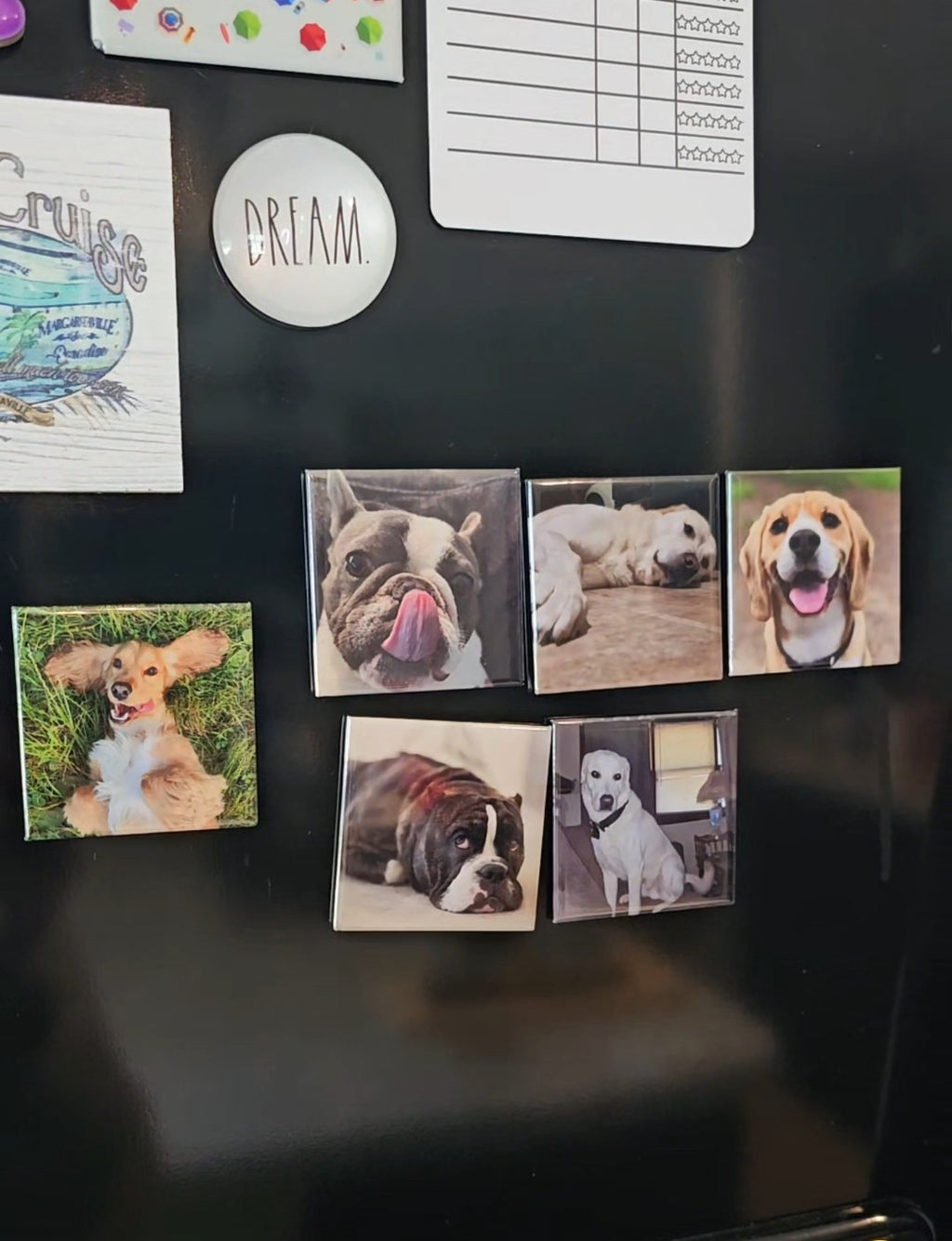 Set of 9  Custom Photo Magnets 2"x2"