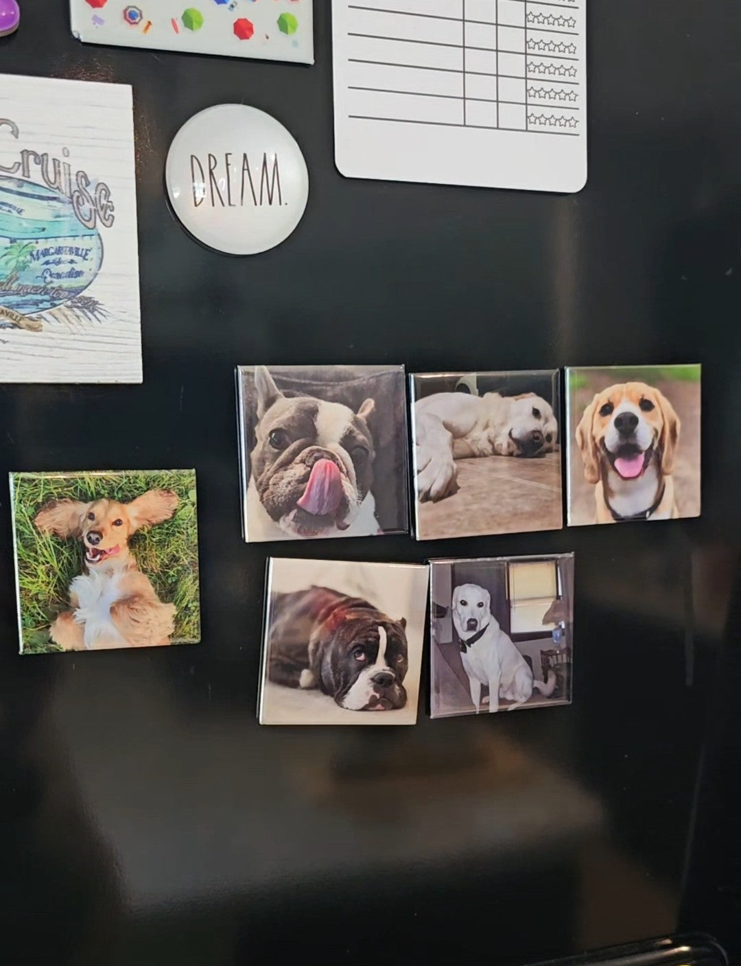 Set of 9 Custom Photo Magnets